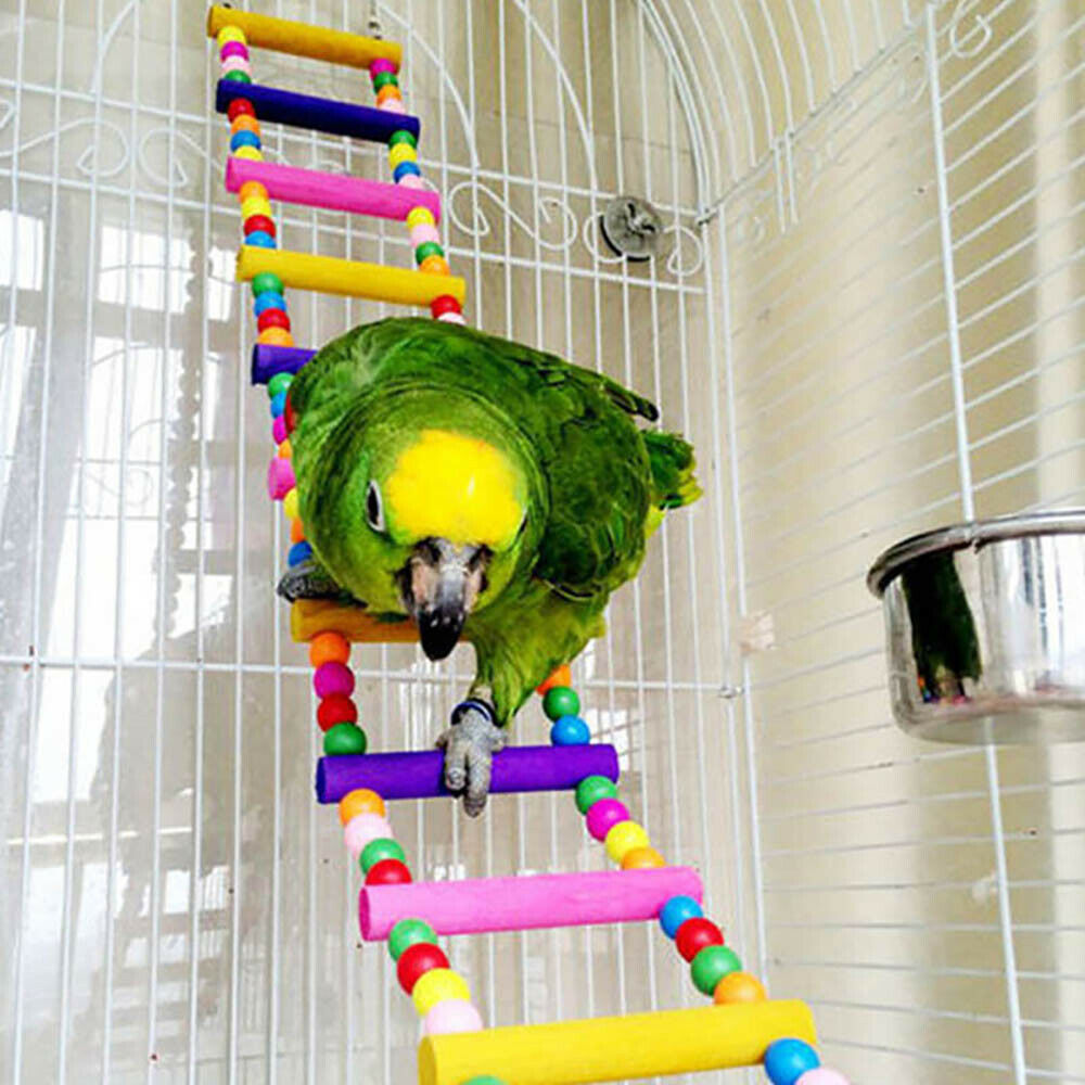 10X Parrot Hanging Swing Bird Toy Harness Cage Ladder Parakeet Cockatiel Hammock - Bright Tech Home