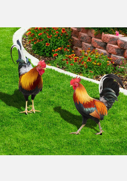 2PCS Rooster Yard Decor Garden Chicken Decoration Outdoor Weatherproof Statue