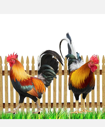 2PCS Rooster Yard Decor Garden Chicken Decoration Outdoor Weatherproof Statue