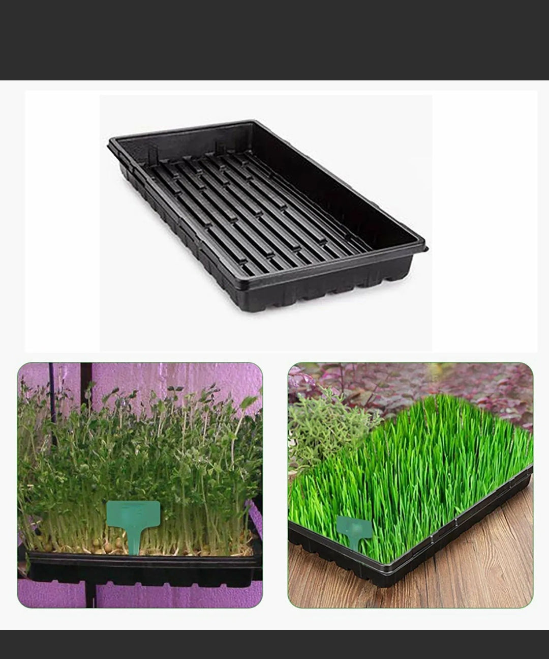 10 Pcs Garden Black Plastic Rectangle Plant Seedling Propagation Seeding Tray AU