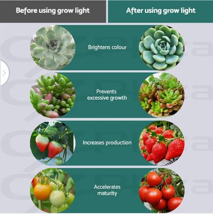 Greenfingers 600W LED Grow Light Full Spectrum Indoor Plants Veg Flower Bloom