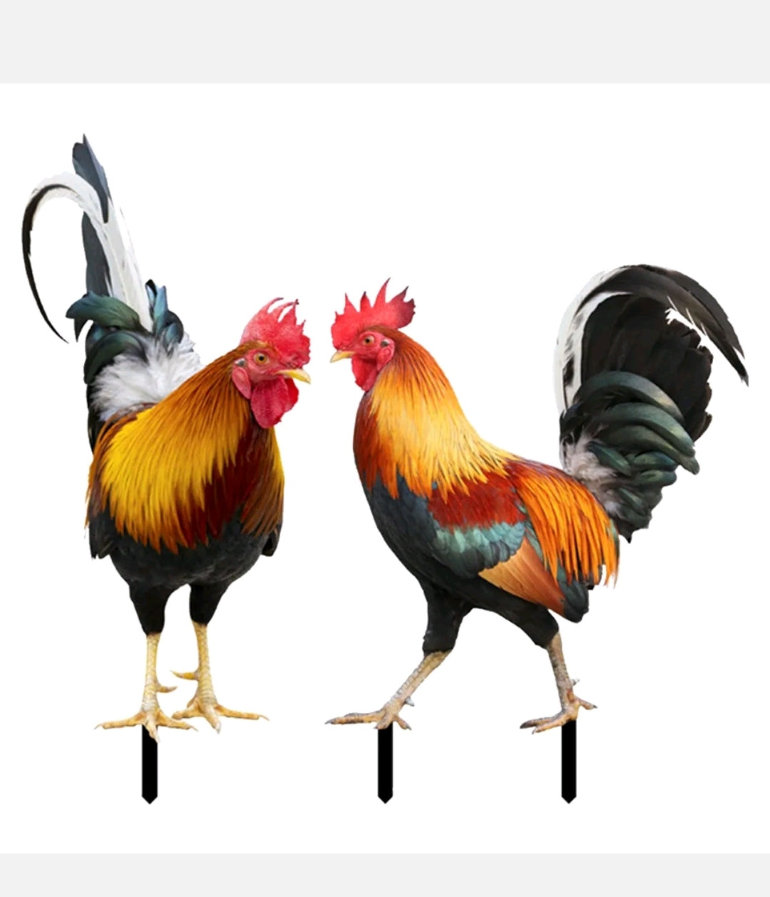 2PCS Rooster Yard Decor Garden Chicken Decoration Outdoor Weatherproof Statue