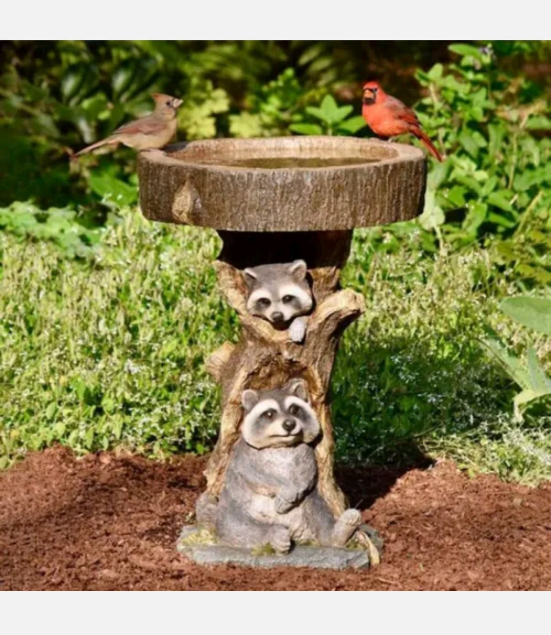 Resin Raccoon Bird Bath Garden Ornament Decor Statue Sculpture Outdoor Feeder A - Bright Tech Home