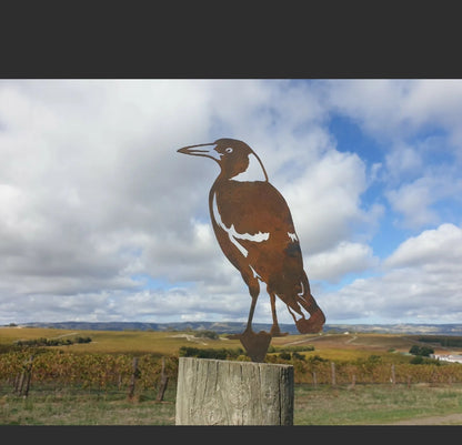 Magpie Standing Garden Stake - Australian Made Rusted Metal Garden Art