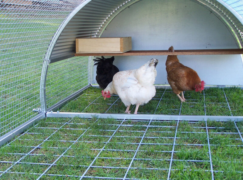 METAL CHICKEN COOP ALUMINIUM POULTRY HOUSE TRACTOR - ROYAL ROOSTER CHICKEN ROLL